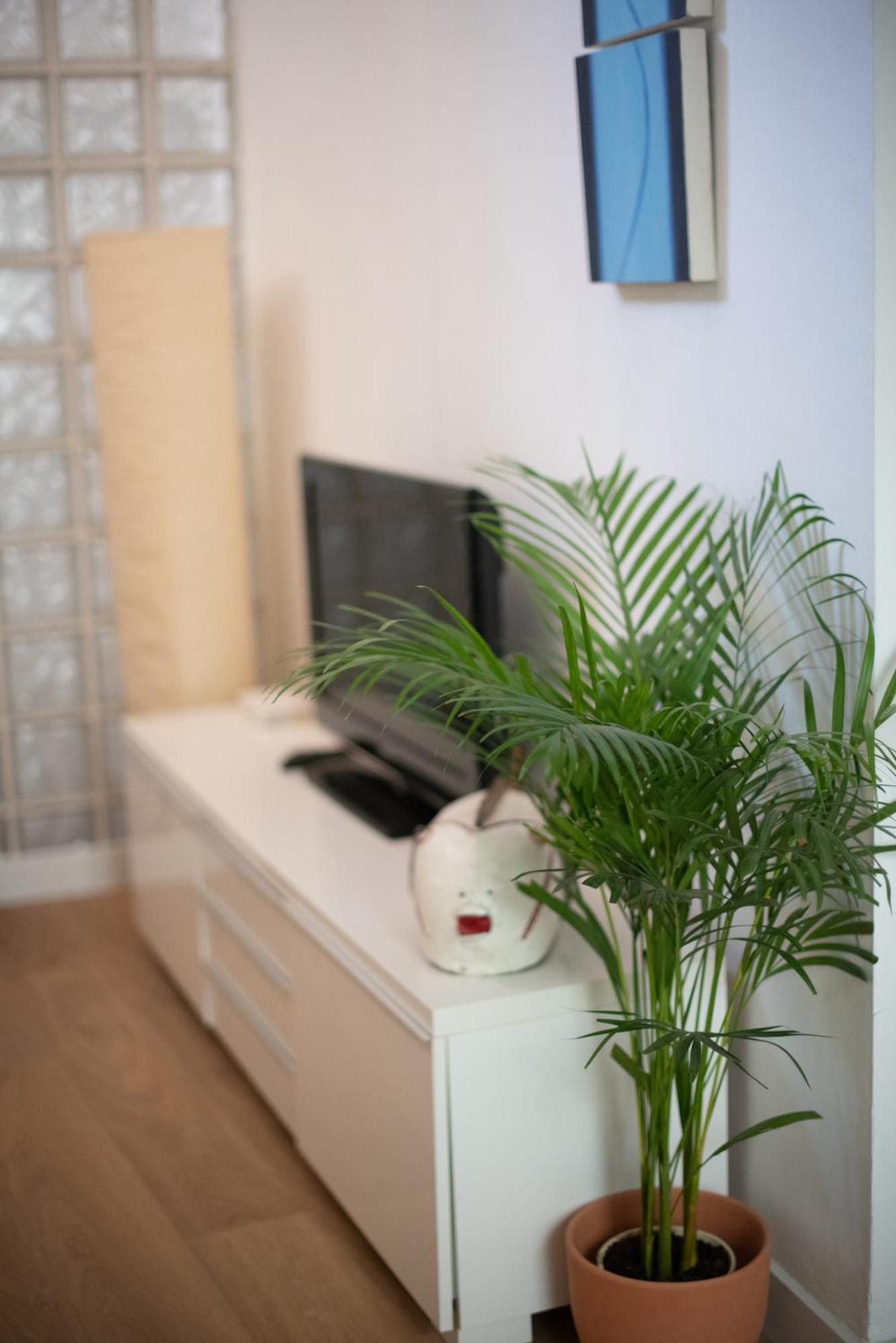 Cozy & Quiet Apartment In The Center Málaga Exteriör bild